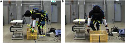 Dynamic assessment for low back-support exoskeletons during manual handling tasks